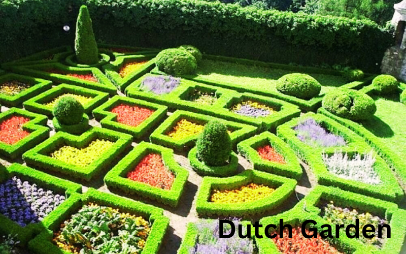 Blog Dutch Garden Surat India