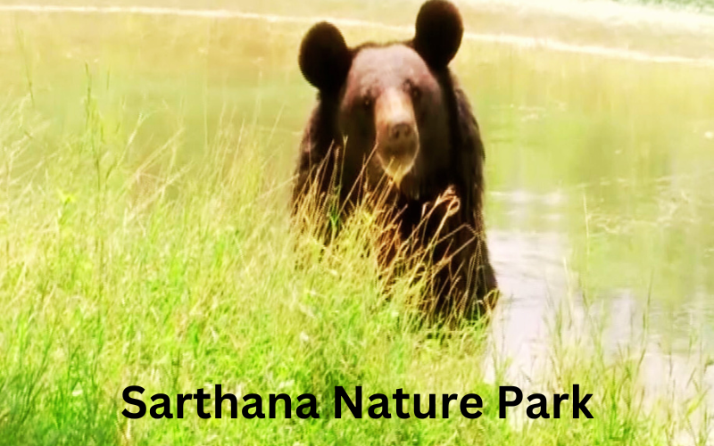 Blog Sarthana Nature Park Surat India