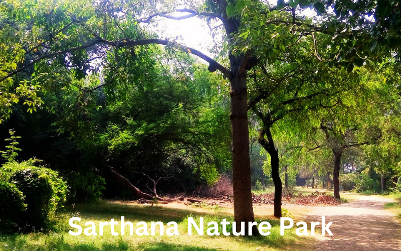 Blog Sarthana Nature Park Surat India