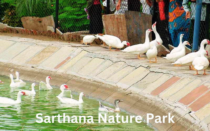 Blog Sarthana Nature Park Surat India