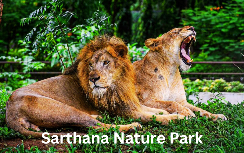 Blog Sarthana Nature Park Surat India