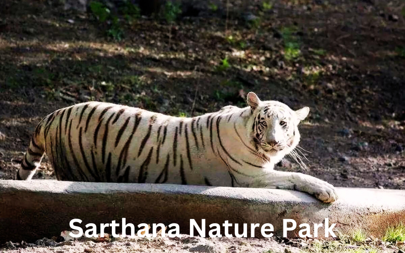 Blog Sarthana Nature Park Surat India